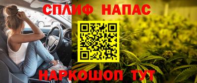 крисы Будённовск