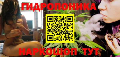 крисы Будённовск