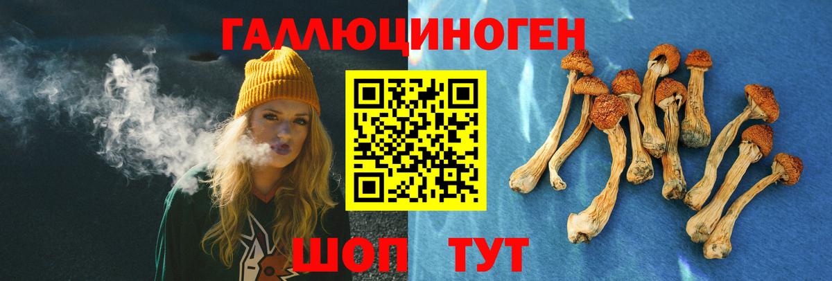 Светлоград  Галлюциногенные грибы Magic Shrooms  Вход с VPN 